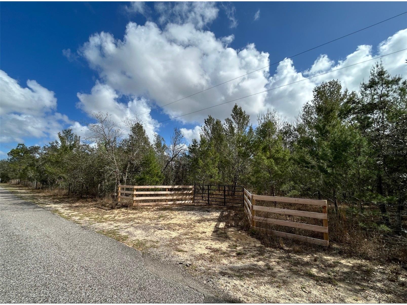 0 Black Bear Lane Winter Garden FL 34787 O6388194 image1