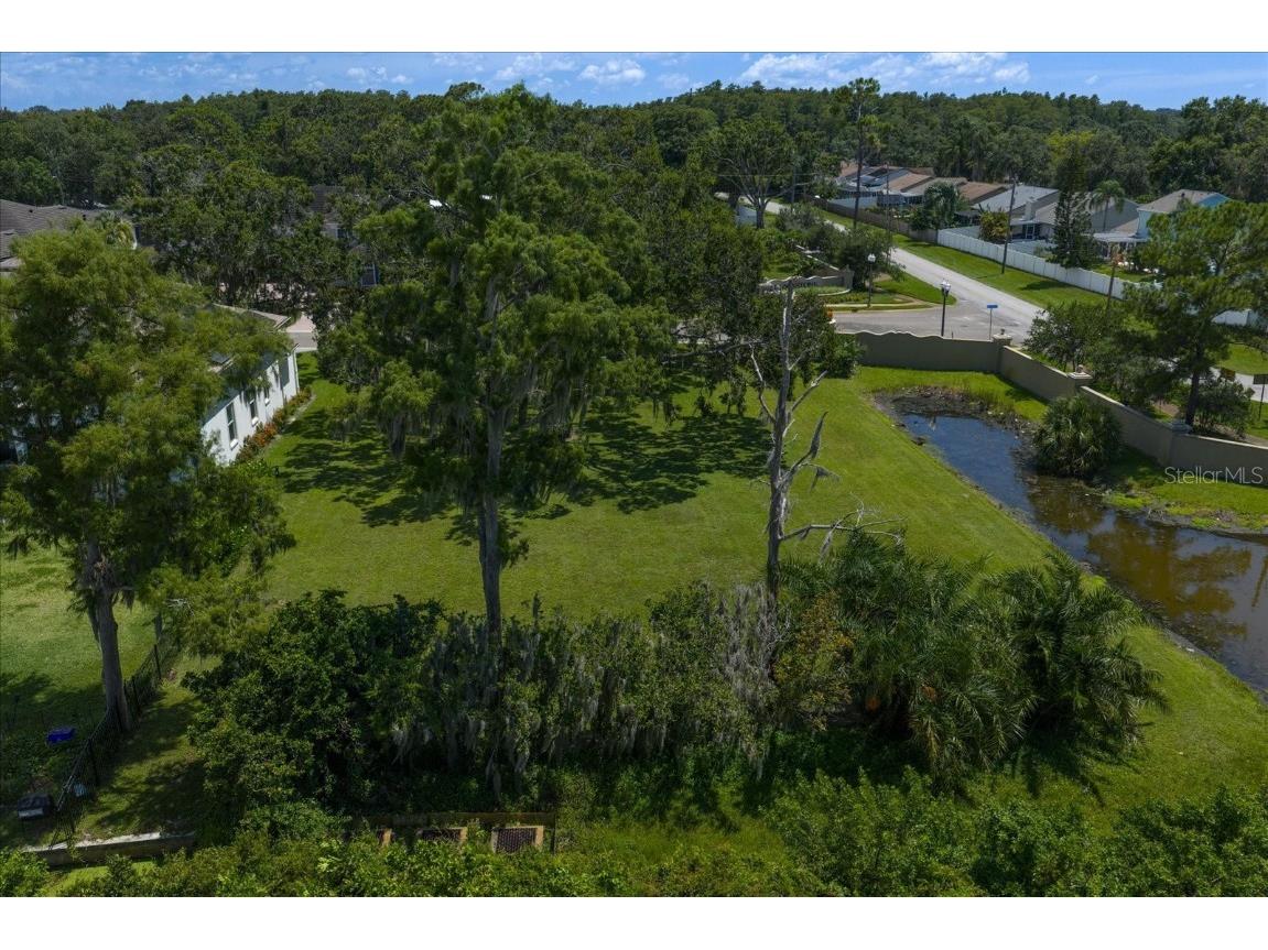 0 Blackstone Drive Palm Harbor FL 34684 - LAKE TARPON TB8409690 image20