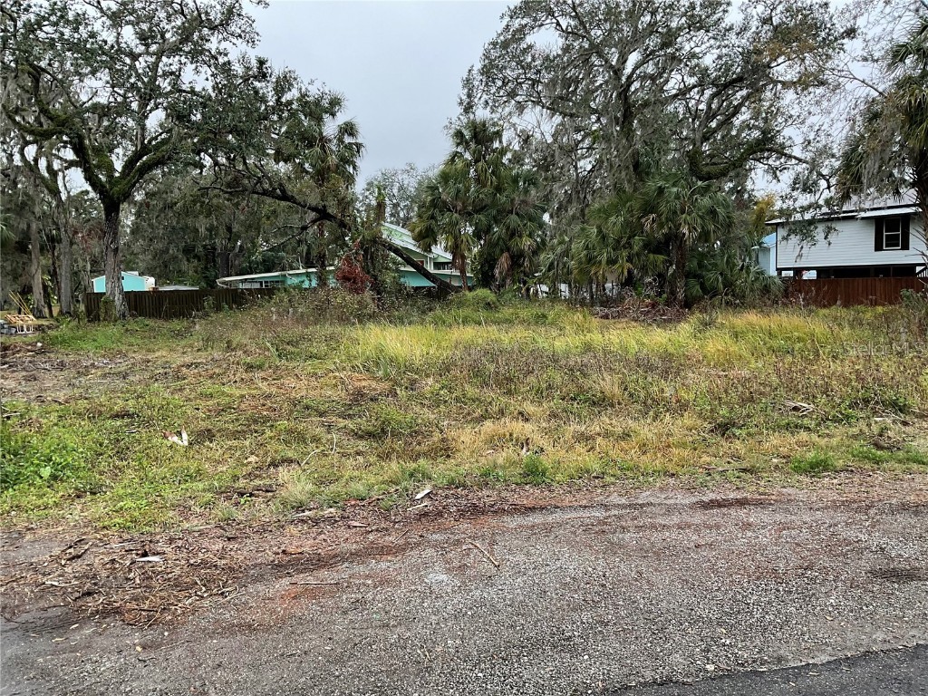 0 Blendale Drive Riverview FL 33569 TB8341629 image1