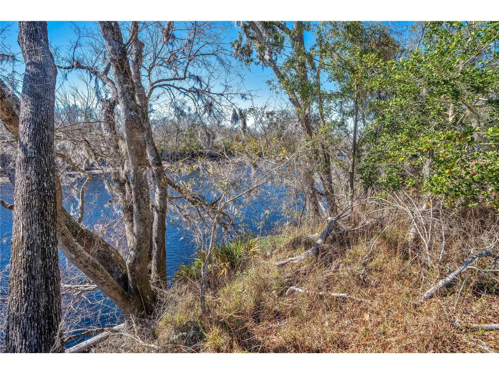 0 Boeing Street Live Oak FL 32060 - SUWANNEE RIVER S5144529 image31