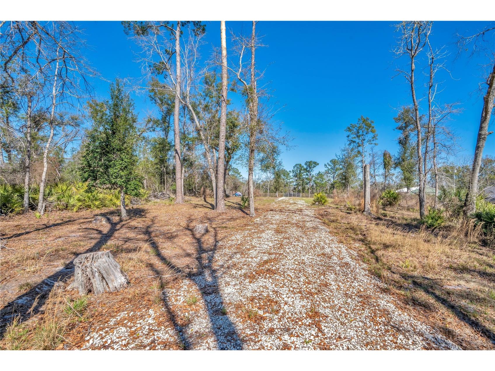 0 Boeing Street Live Oak FL 32060 - SUWANNEE RIVER S5144529 image34