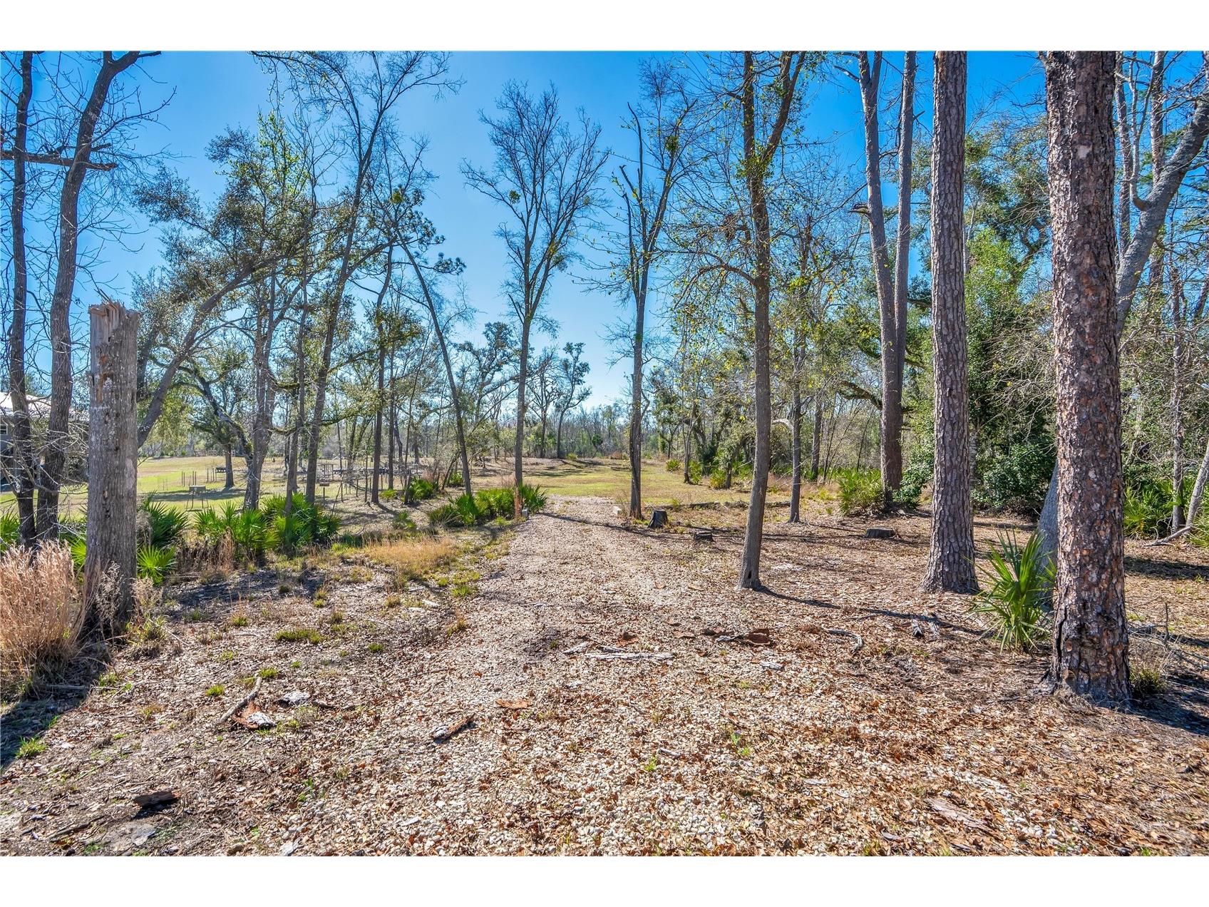 0 Boeing Street Live Oak FL 32060 - SUWANNEE RIVER S5144529 image6