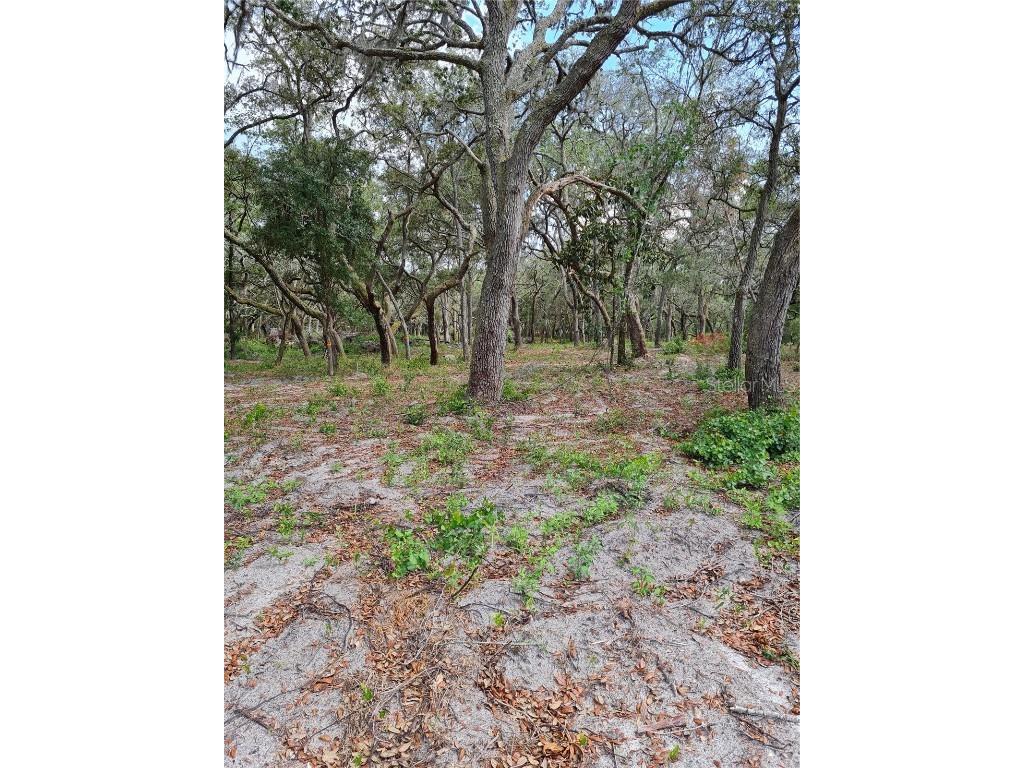 0 Boland Avenue Spring Hill FL 34610 T3448948 image1