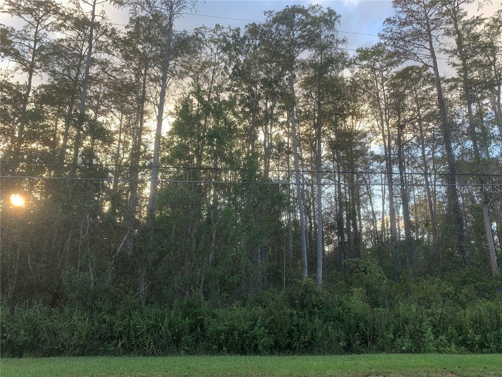 0 Brentford Avenue Orlando FL 32833 O6154311 image1