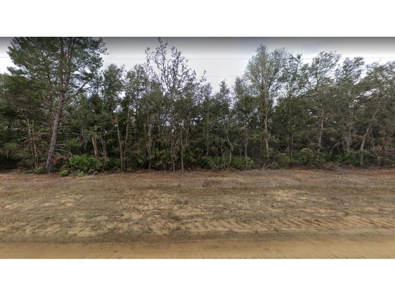 0 Brett Avenue Florahome FL 32140 V4931141 image1