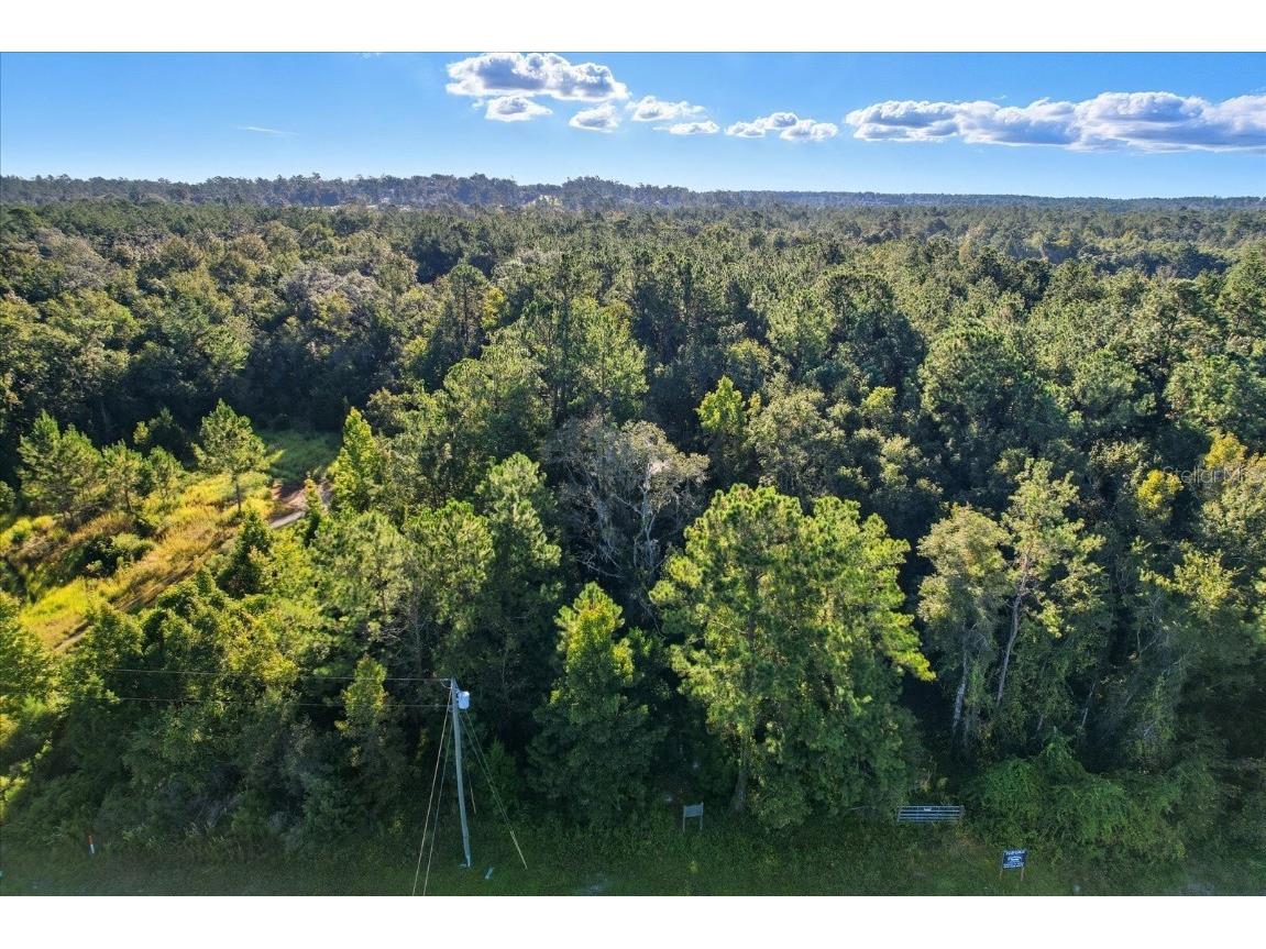 0 Broad Street Brooksville FL 34601 TB8363241 image5