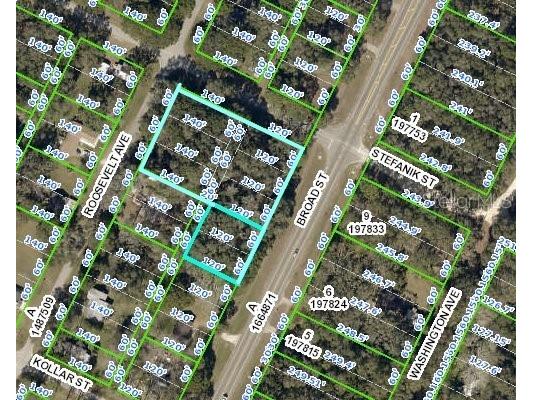 0 Broad Street Brooksville FL 34604 W7825015 image1