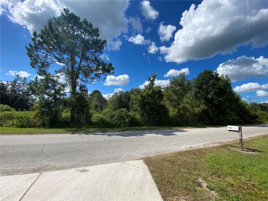 0 Buck Hill Drive Polk City FL 33868 P4917691 image1