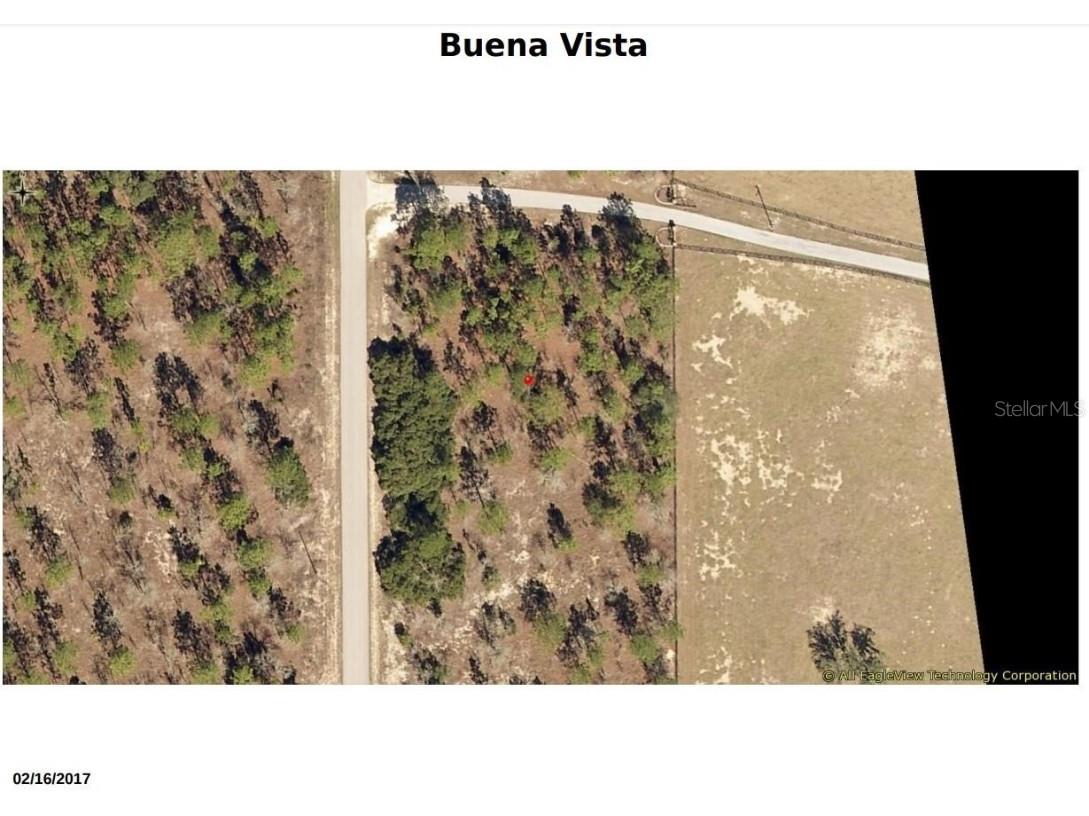 0 Buena Vista Road Dunnellon FL 34431 V4935731 image1