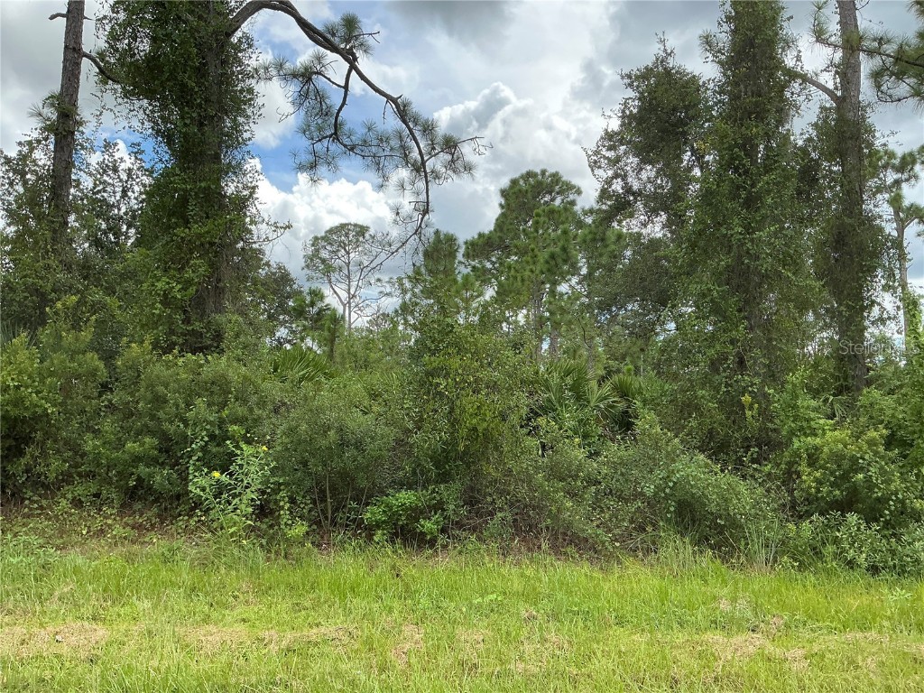 0 Burwin Avenue North Port FL 34291 OM710792 image1