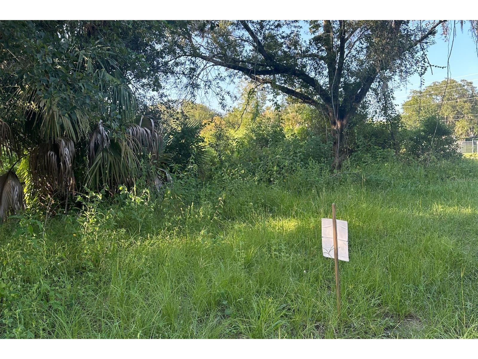 0 Butler Avenue Kissimmee FL 34741 L4954455 image2