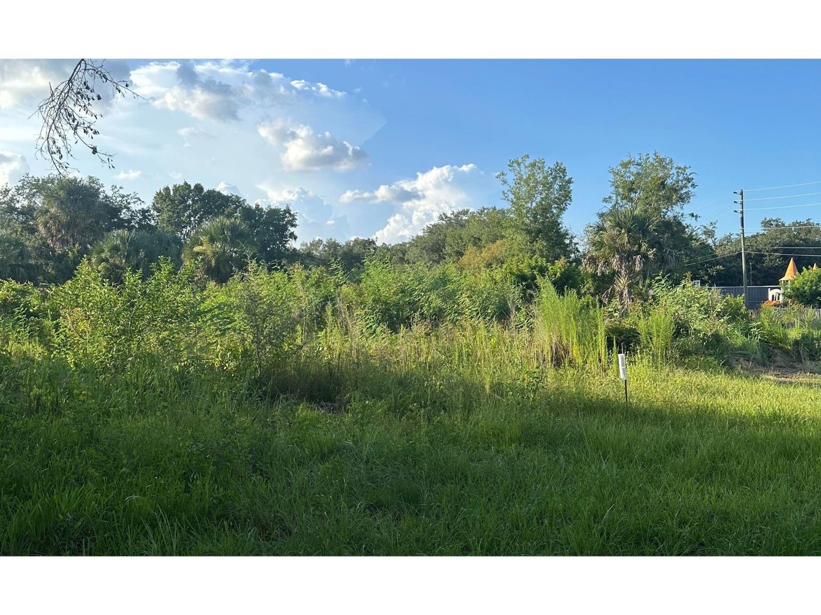 0 Butler Avenue Kissimmee FL 34741 L4954455 image3