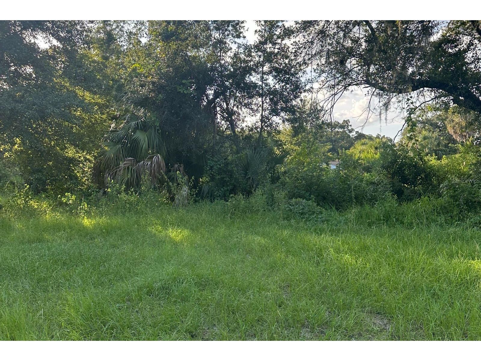 0 Butler Avenue Kissimmee FL 34741 L4954455 image6