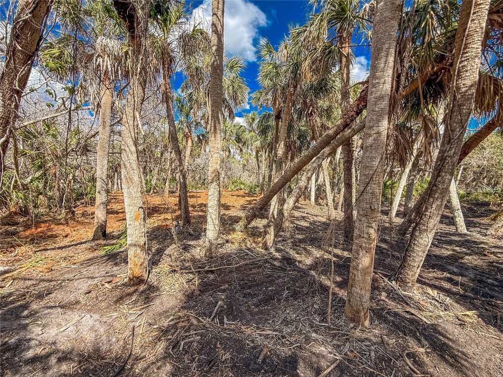 0 Bay Side Manasota Key Road #BAY SIDE Englewood FL 34223 - LEMON BAY D6142805 image4