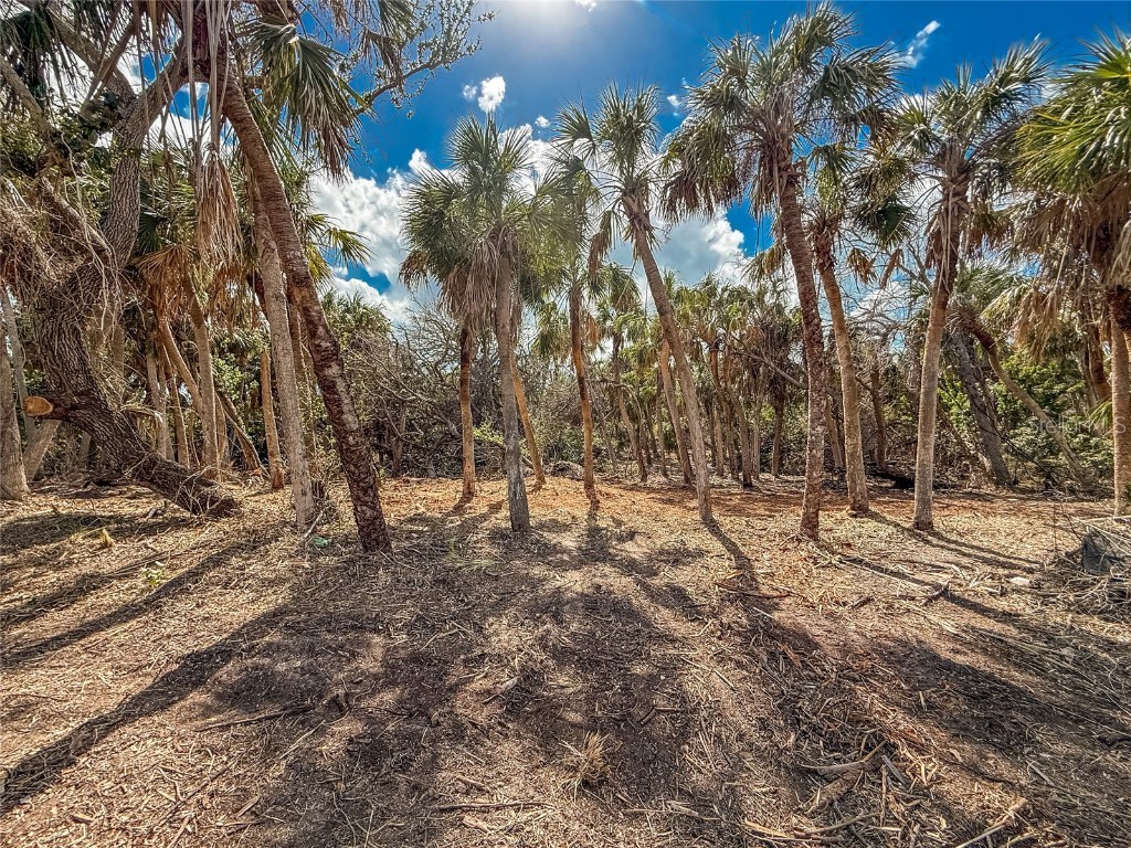 0 Bay Side Manasota Key Road #BAY SIDE Englewood FL 34223 - LEMON BAY D6142805 image7