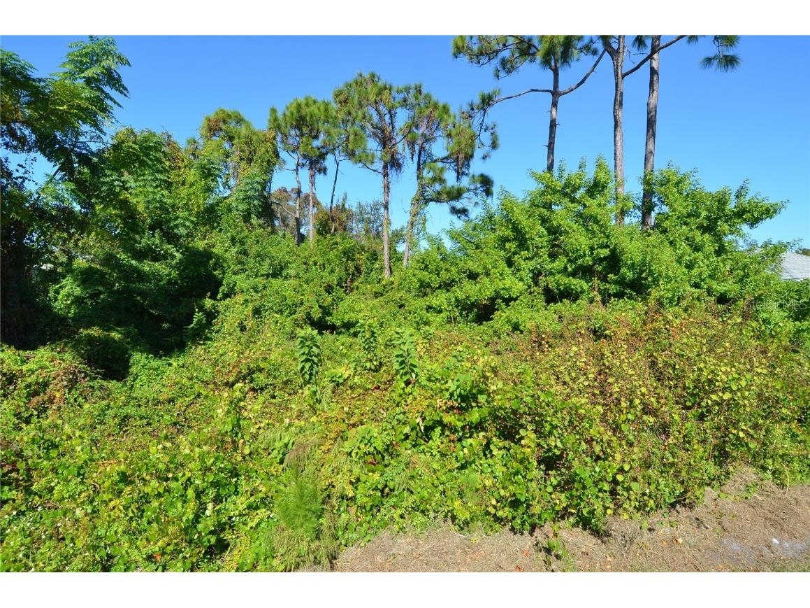 0 Cabana Road Venice FL 34293 N6141509 image15