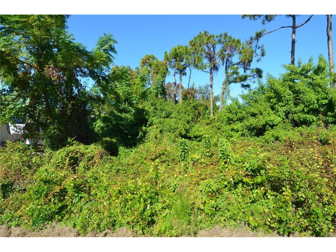 0 Cabana Road Venice FL 34293 N6141509 image16