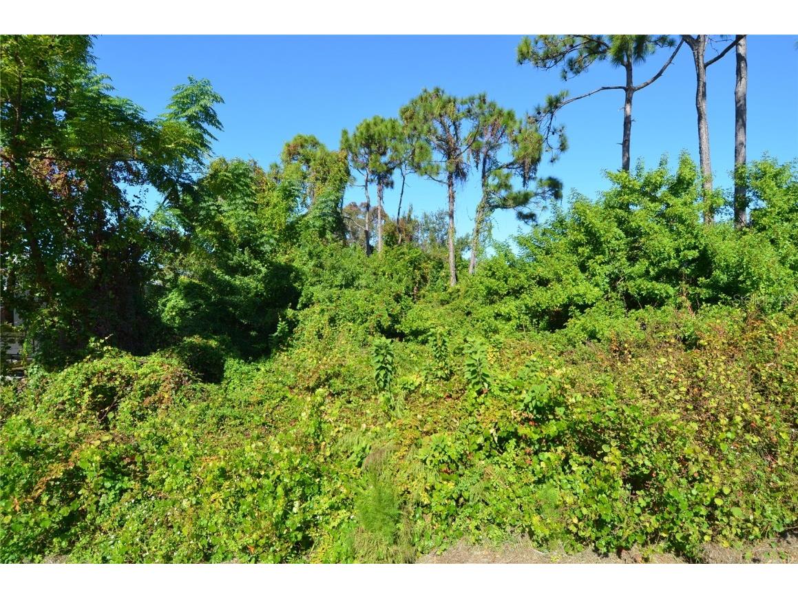 0 Cabana Road Venice FL 34293 N6141509 image17