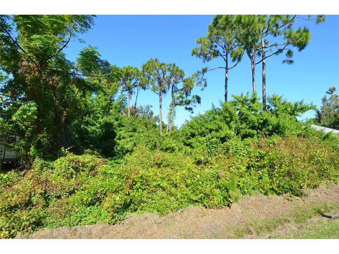 0 Cabana Road Venice FL 34293 N6141509 image18