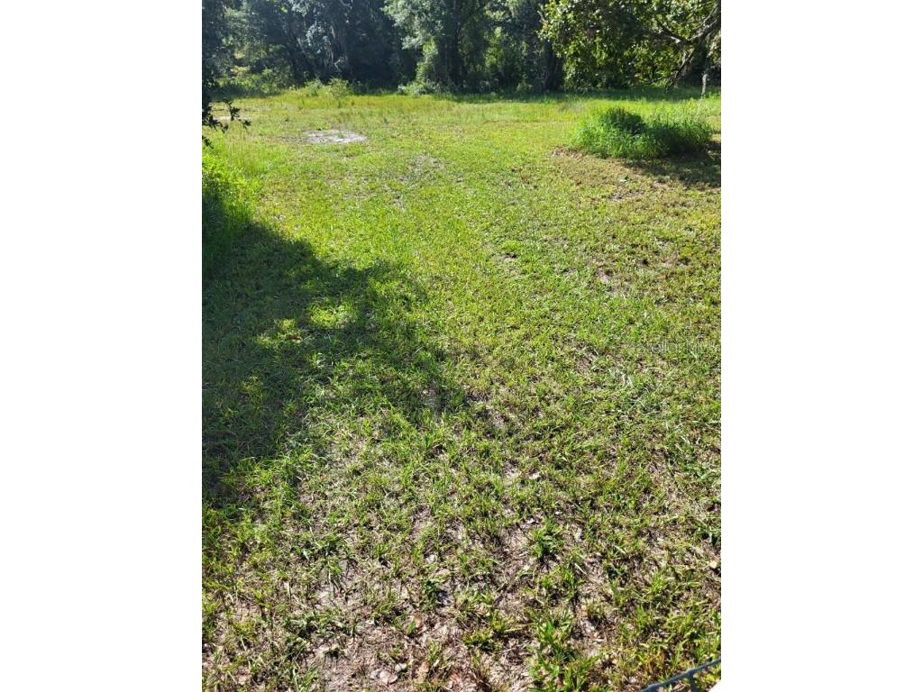 0 Cain Road Tampa FL 33625 U8159458 image5