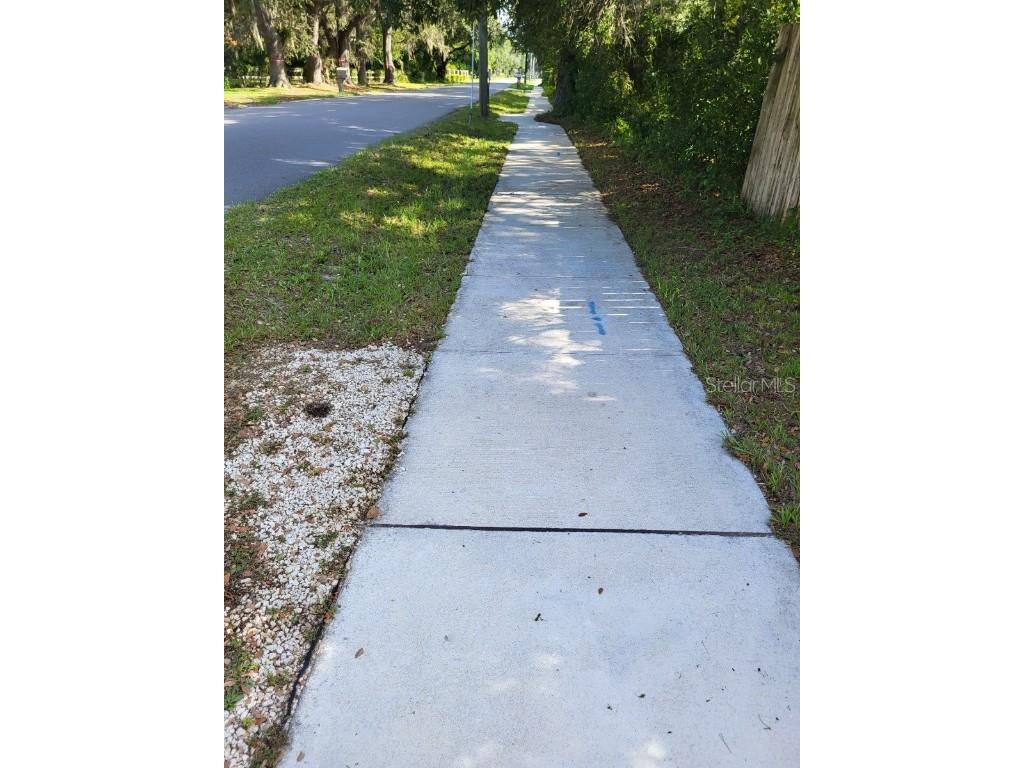 0 Cain Road Tampa FL 33625 U8159458 image6