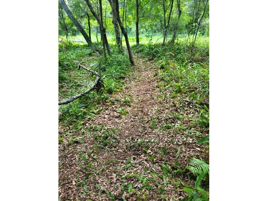 0 Cain Road Tampa FL 33625 U8159458 image7