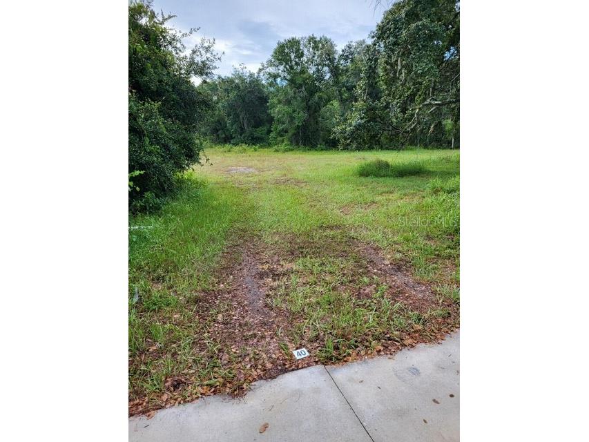 0 Cain Road Tampa FL 33625 U8159458 image8