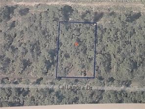 0 Calliandra Drive Indian Lake Estates FL 33855 S5103541 image1