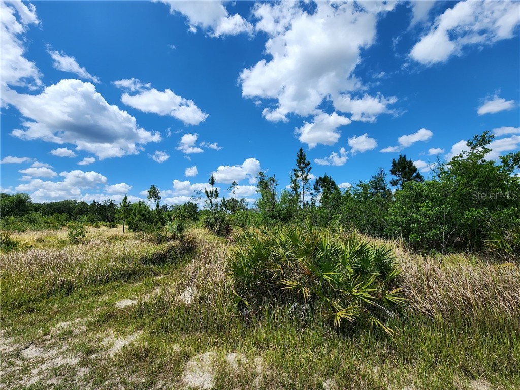 0 Calliandra Drive Indian Lake Estates FL 33855 P4925452 image1