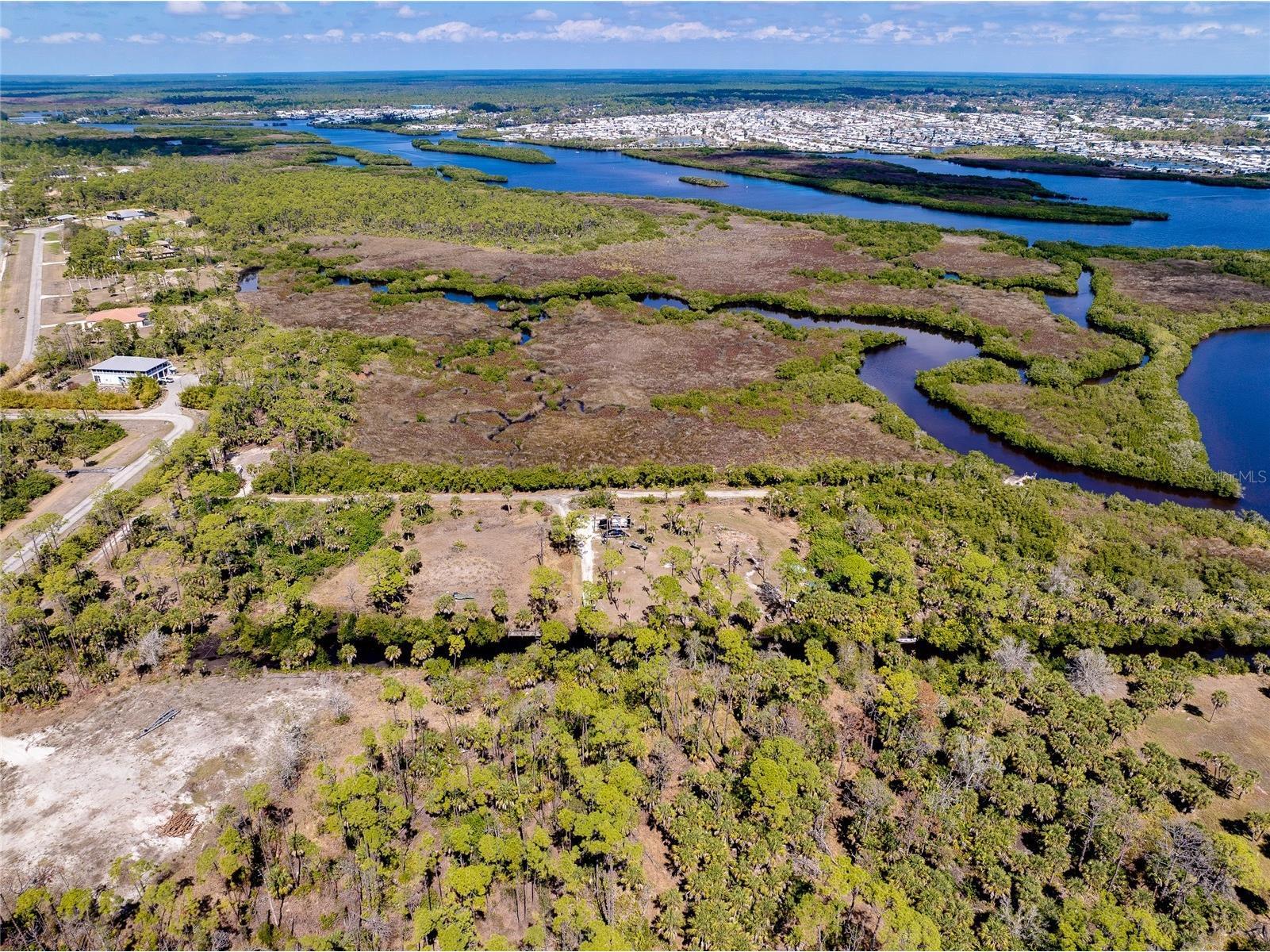 0 Caloosa Drive Venice FL 34293 - MYAKKA RIVER N6143200 image1