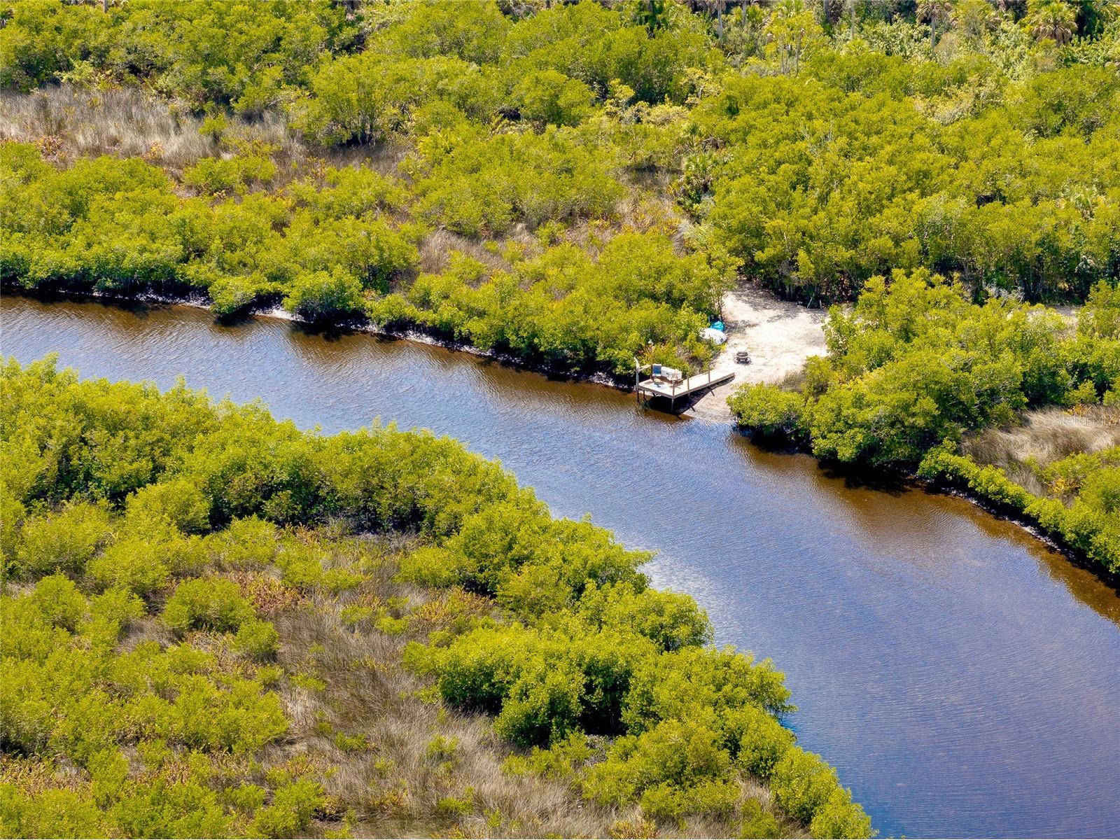 0 Caloosa Drive Venice FL 34293 - MYAKKA RIVER N6143200 image10