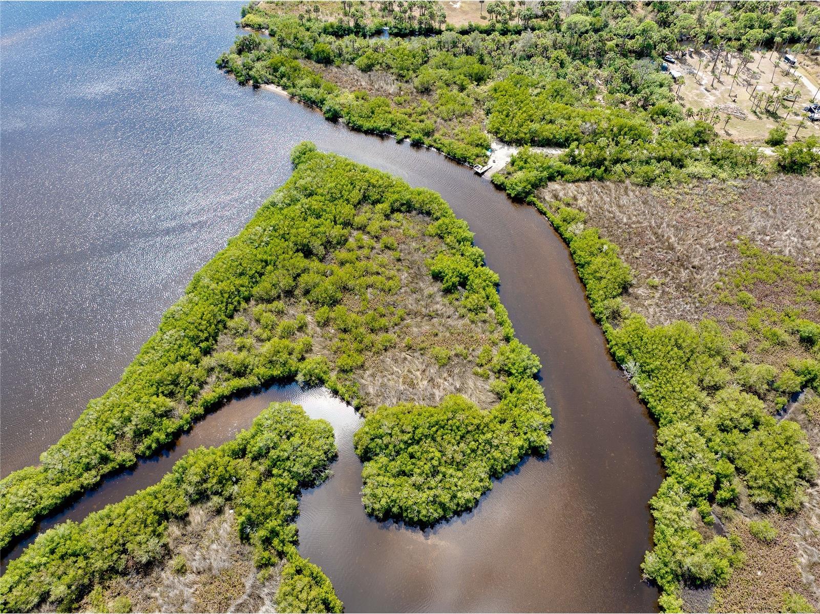 0 Caloosa Drive Venice FL 34293 - MYAKKA RIVER N6143200 image11