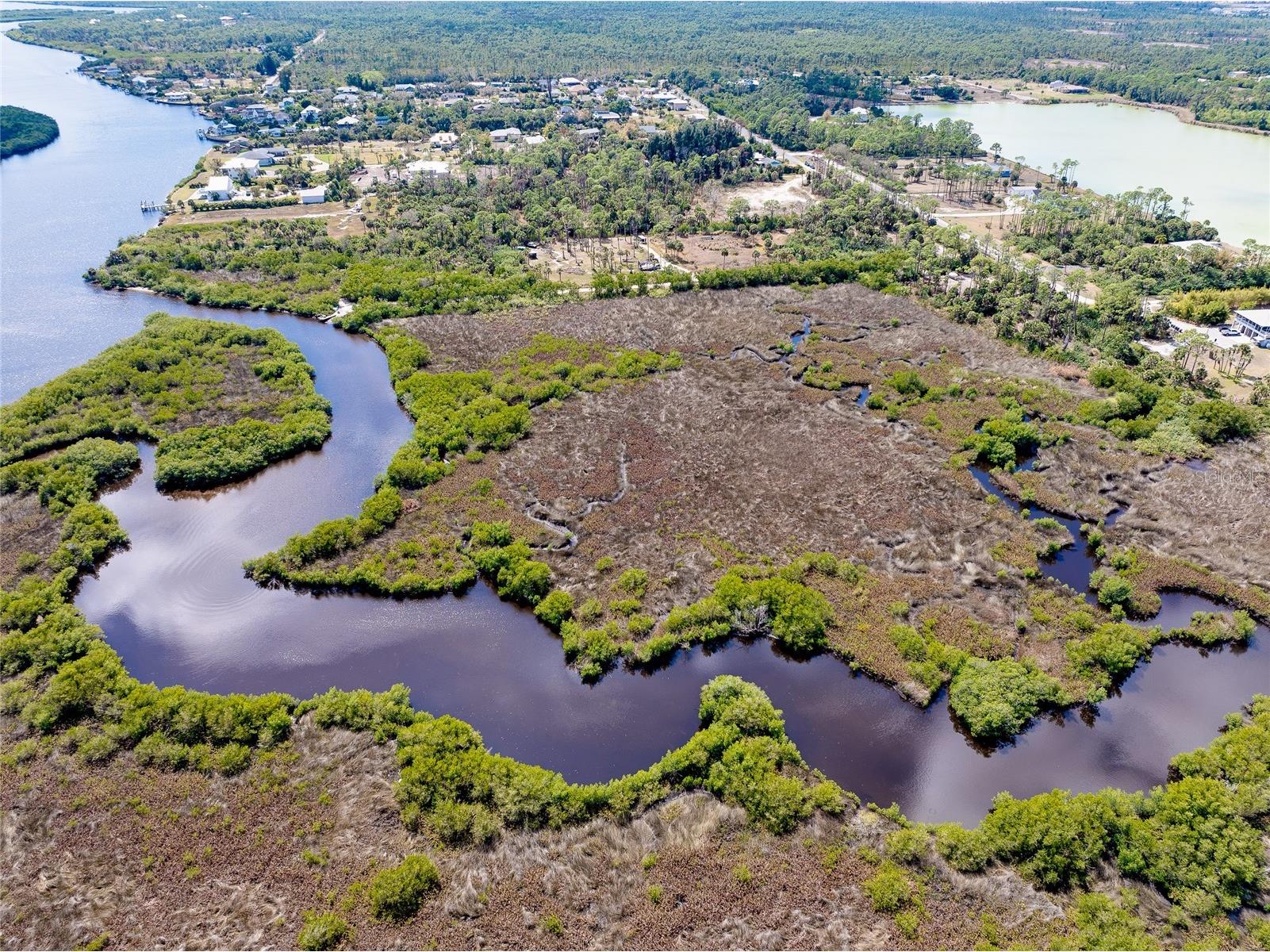 0 Caloosa Drive Venice FL 34293 - MYAKKA RIVER N6143200 image18
