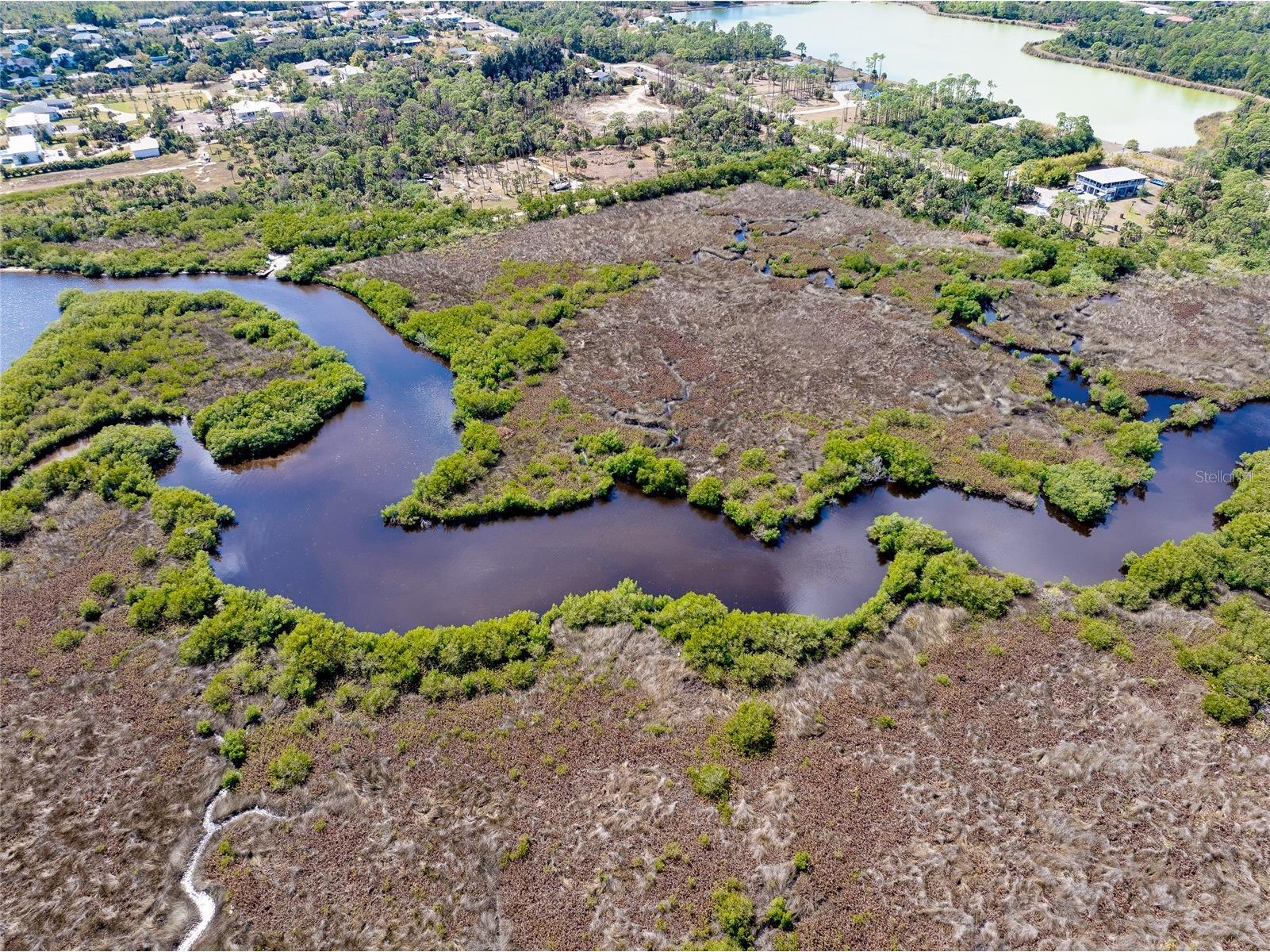 0 Caloosa Drive Venice FL 34293 - MYAKKA RIVER N6143200 image19