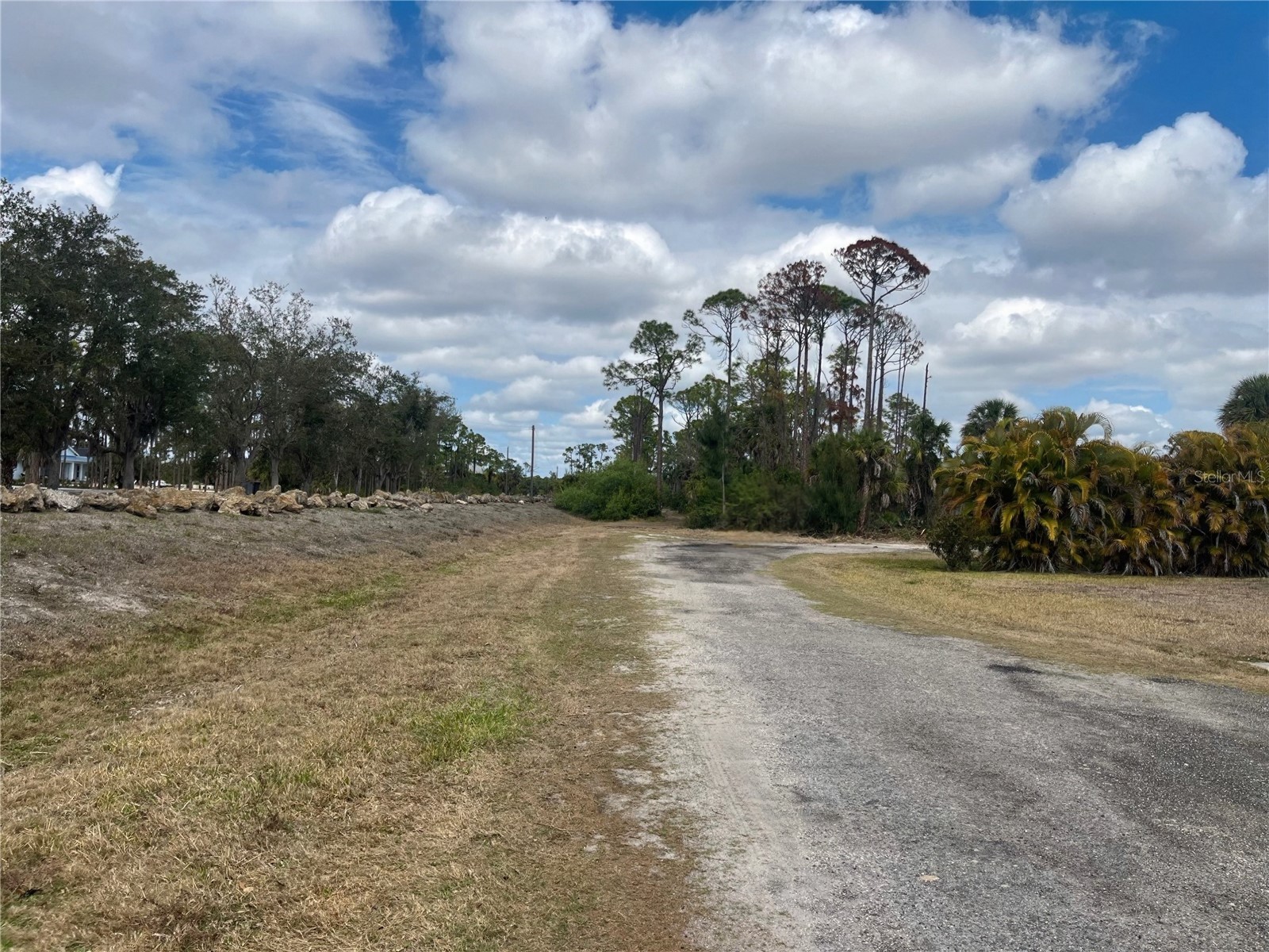0 Caloosa Drive Venice FL 34293 - MYAKKA RIVER N6143200 image2