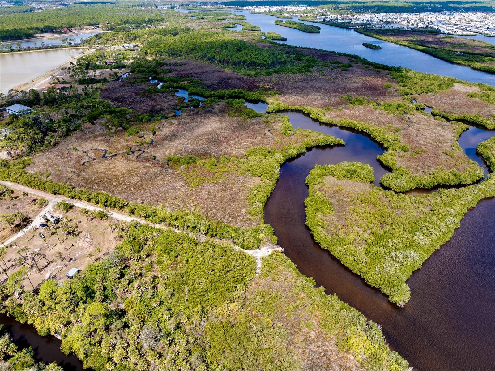 0 Caloosa Drive Venice FL 34293 - MYAKKA RIVER N6143200 image21