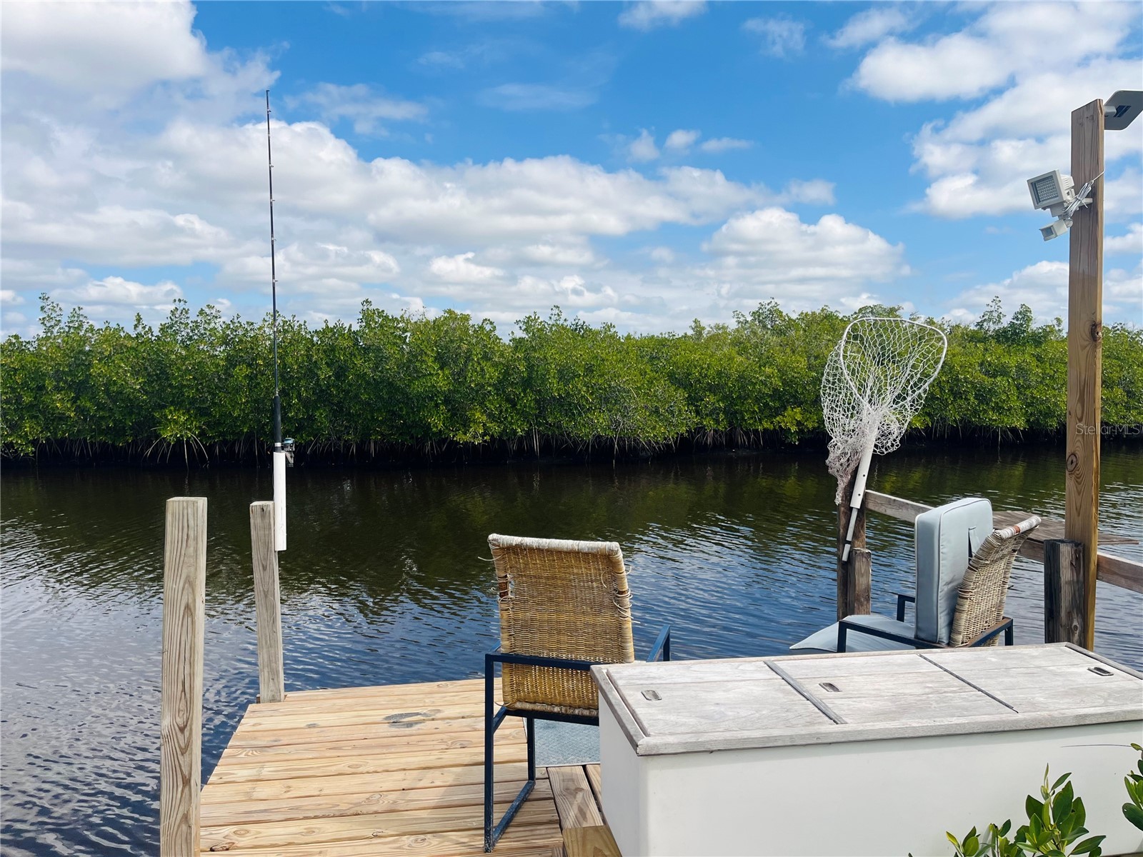 0 Caloosa Drive Venice FL 34293 - MYAKKA RIVER N6143200 image3
