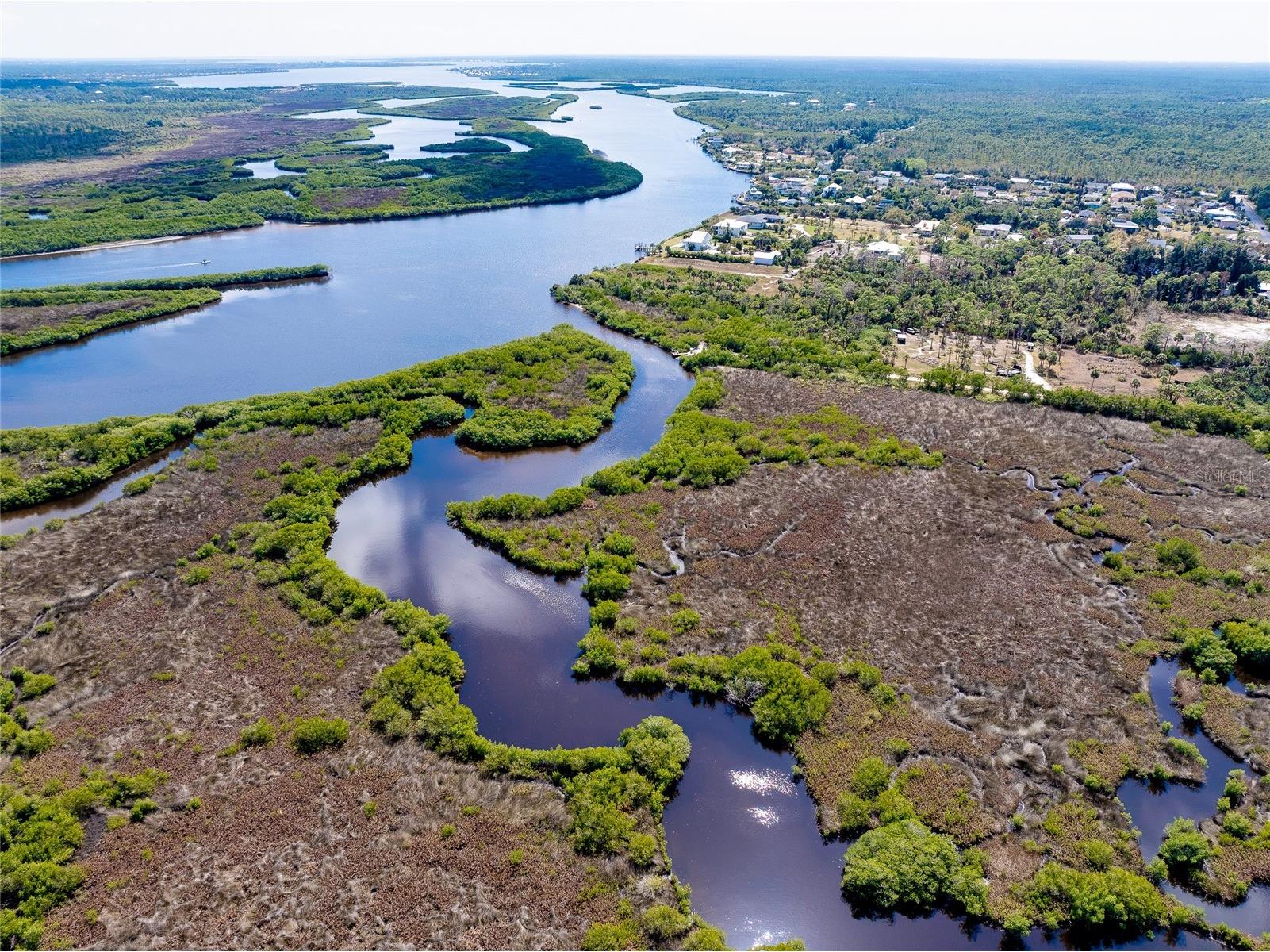 0 Caloosa Drive Venice FL 34293 - MYAKKA RIVER N6143200 image30