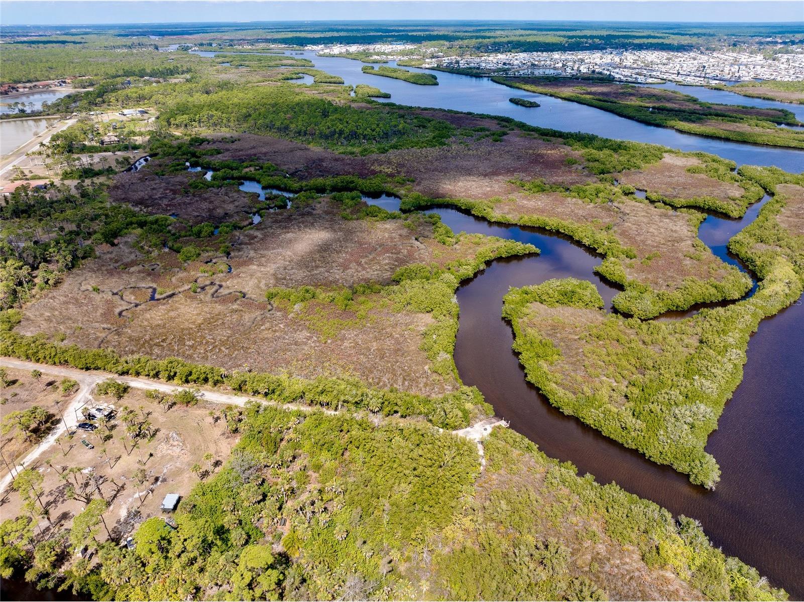 0 Caloosa Drive Venice FL 34293 - MYAKKA RIVER N6143200 image32