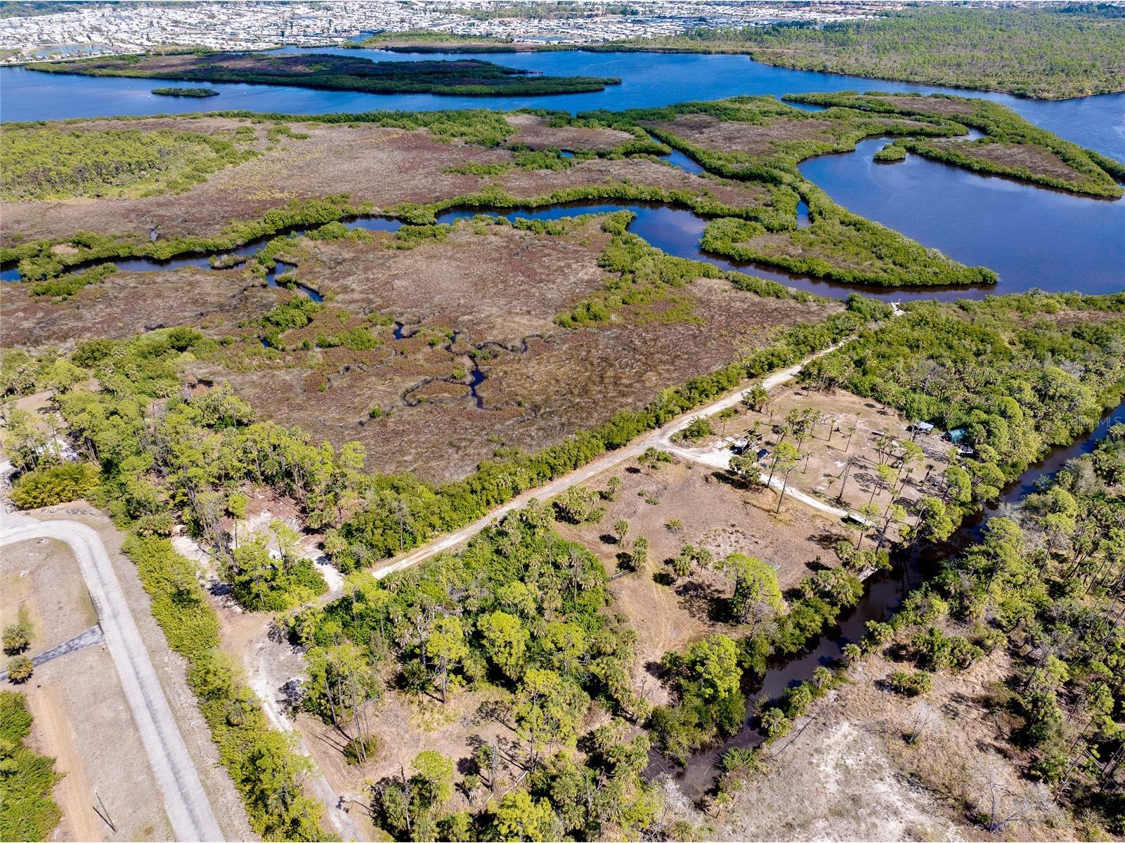 0 Caloosa Drive Venice FL 34293 - MYAKKA RIVER N6143200 image8