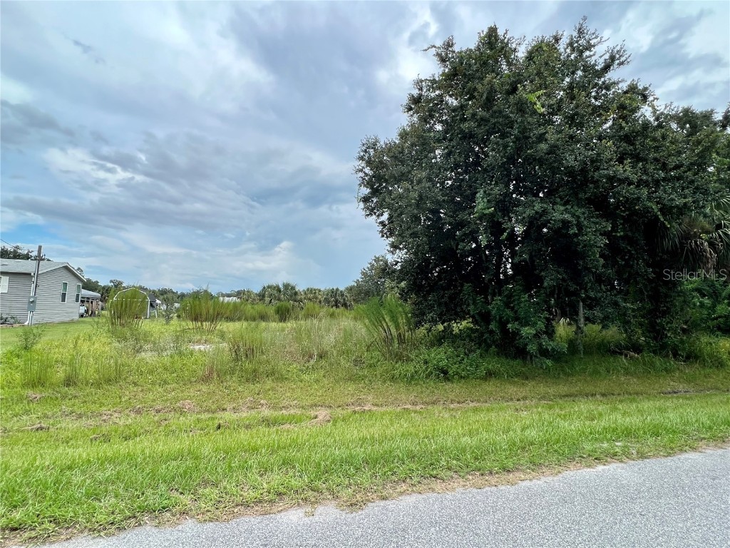 0 Caloosa Street Intercession City FL 33848 P4927135 image1