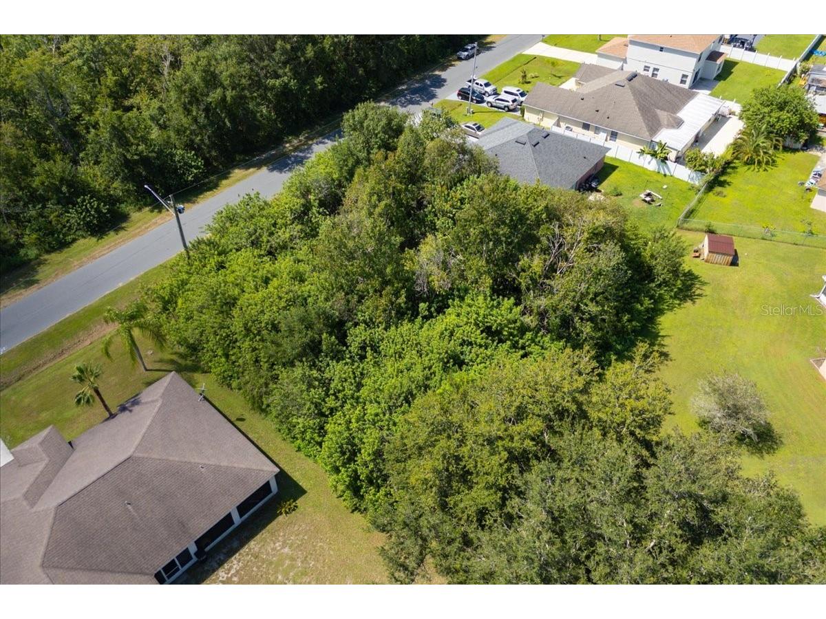 0 Cannes Drive Kissimmee FL 34759 O6337671 image4