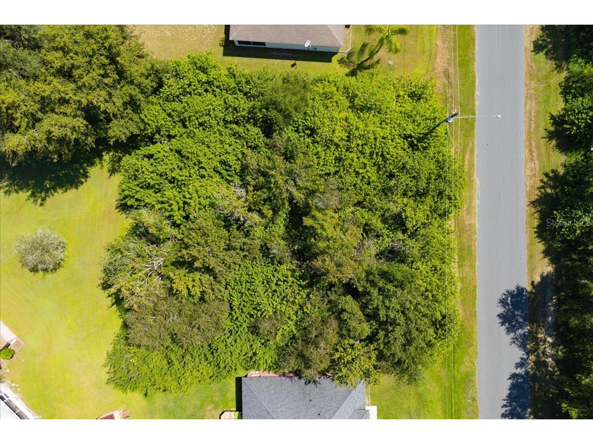 0 Cannes Drive Kissimmee FL 34759 O6337671 image7