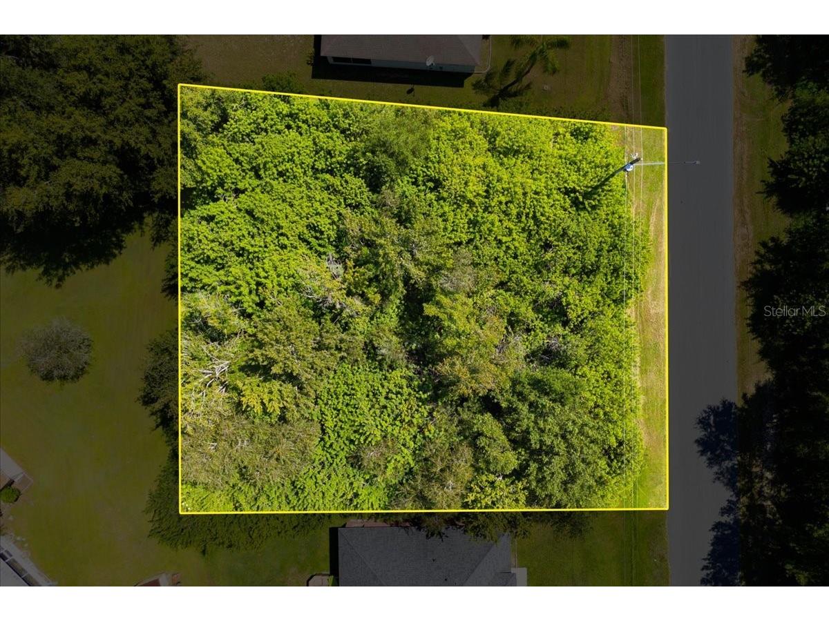 0 Cannes Drive Kissimmee FL 34759 O6337671 image8