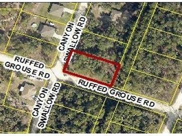 0 Canyon Swallow Rd (Parcel Key 00784734) Weeki Wachee FL 34614 GC539817 image1