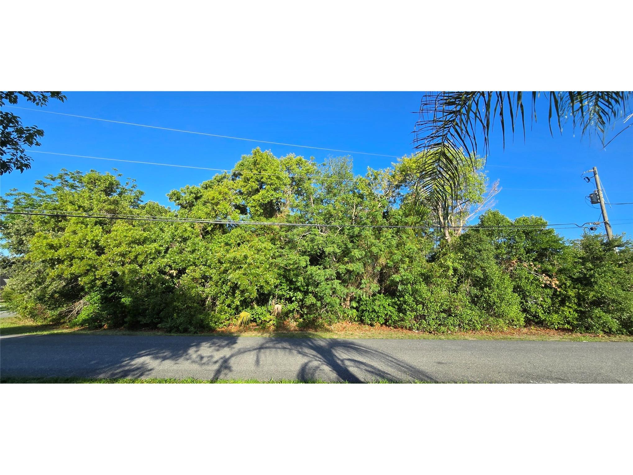 0 Captain Drive Spring Hill FL 34608 W7885891 image1