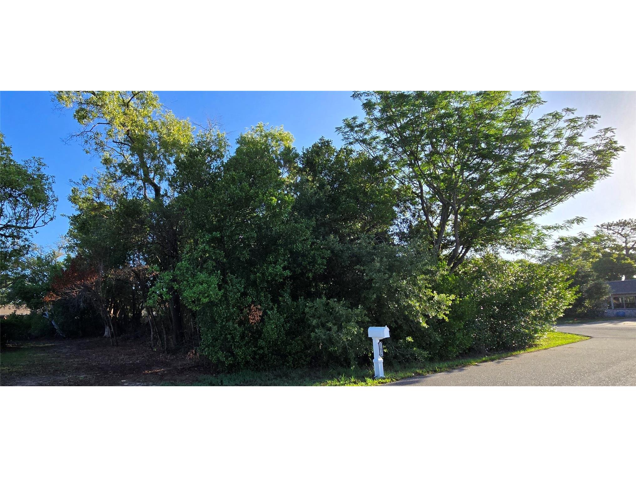 0 Captain Drive Spring Hill FL 34608 W7885891 image2