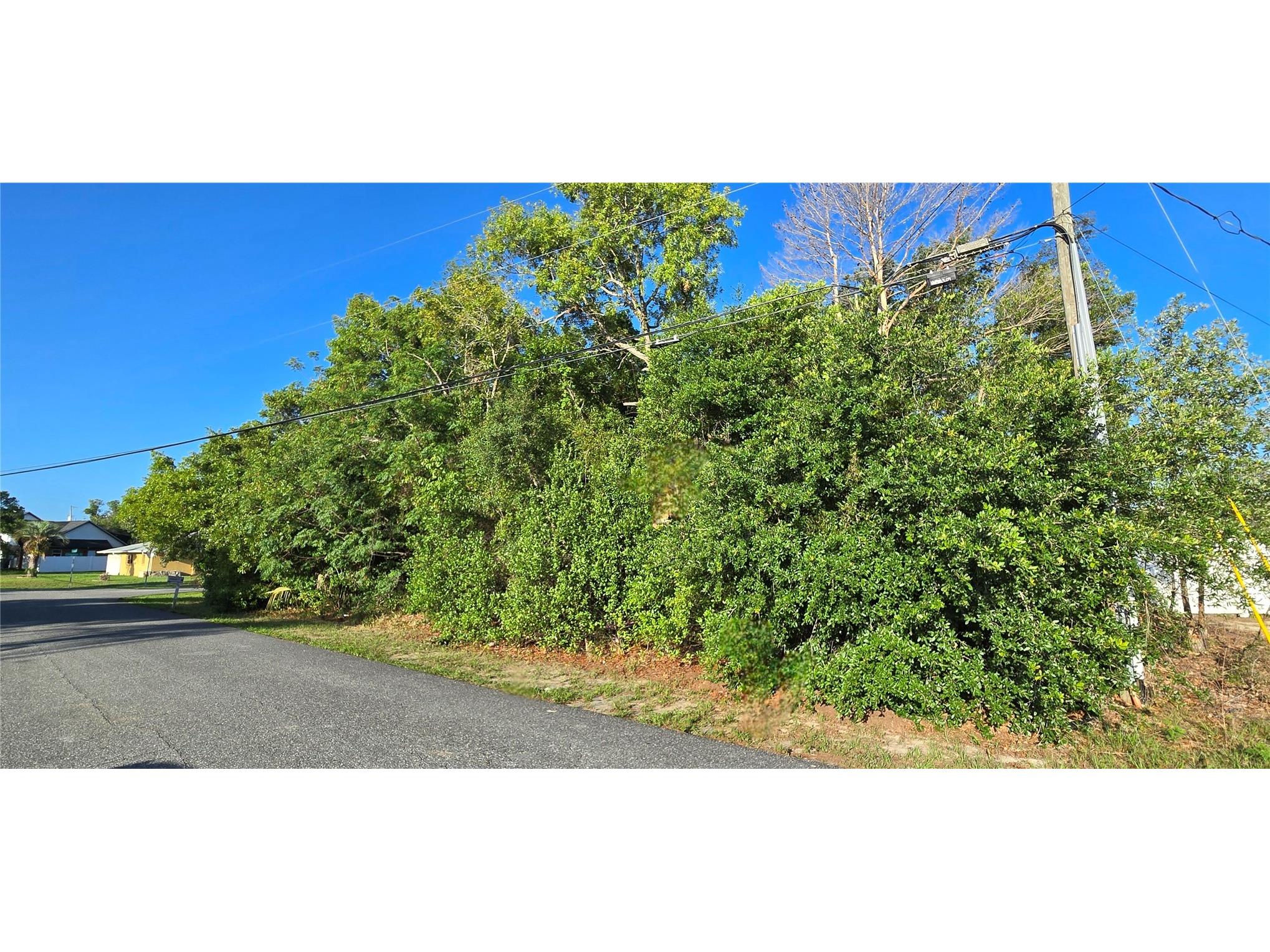0 Captain Drive Spring Hill FL 34608 W7885891 image3