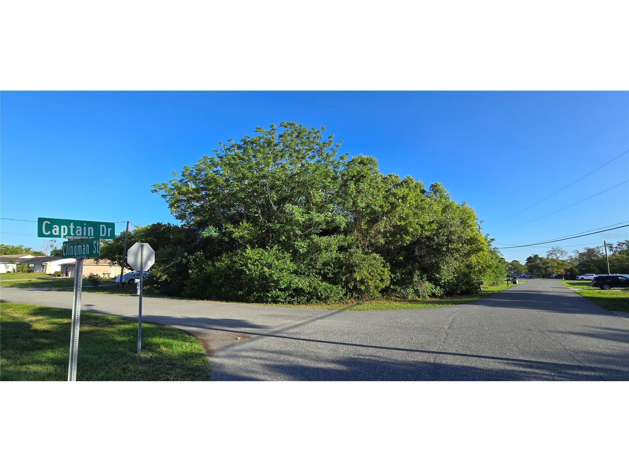 0 Captain Drive Spring Hill FL 34608 W7885891 image4