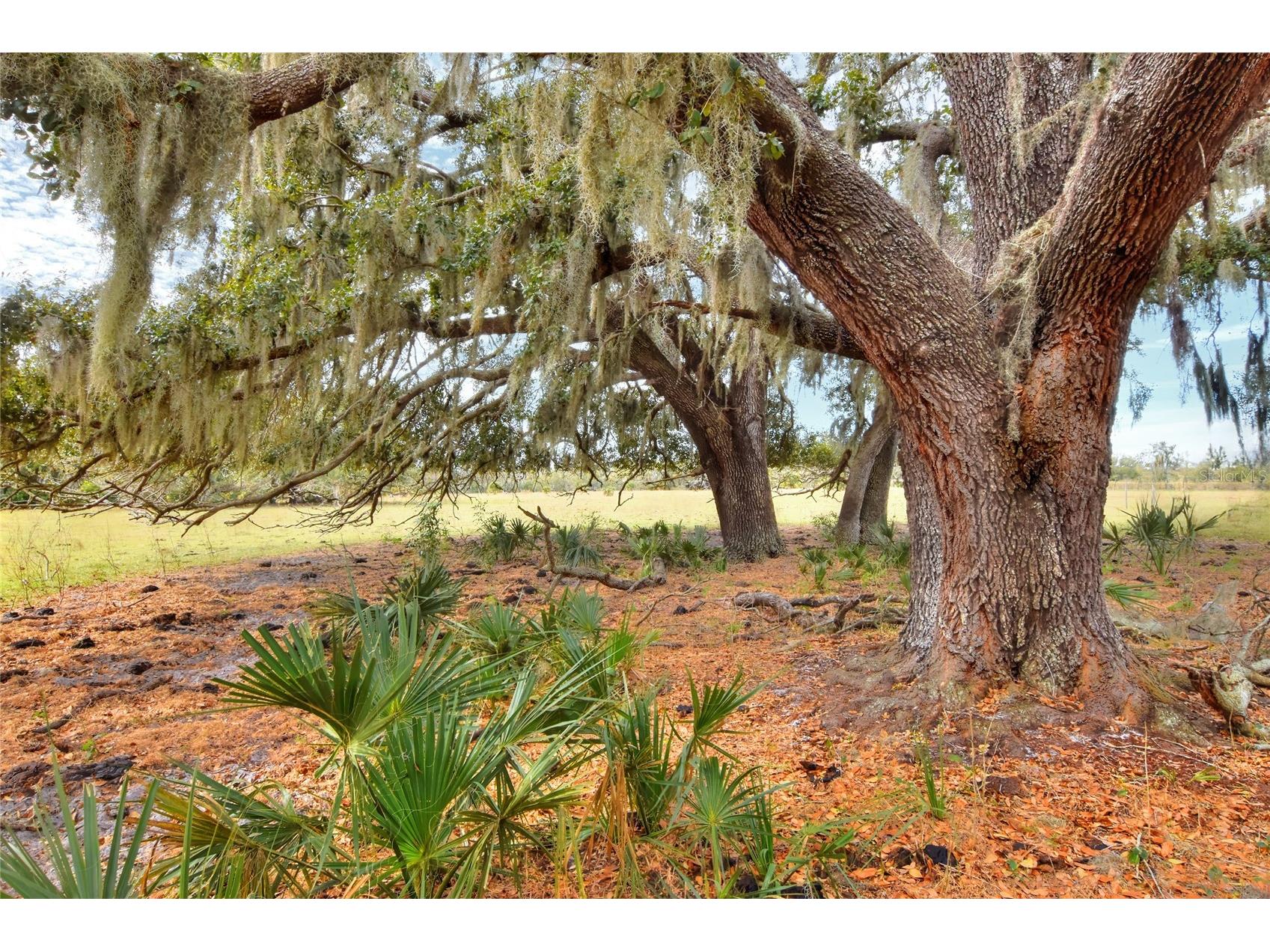 0 Carlton Lake Road Wimauma FL 33598 TB8471512 image3